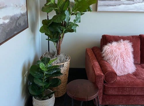 plano-therapy-office-2 plano therapy office<br />